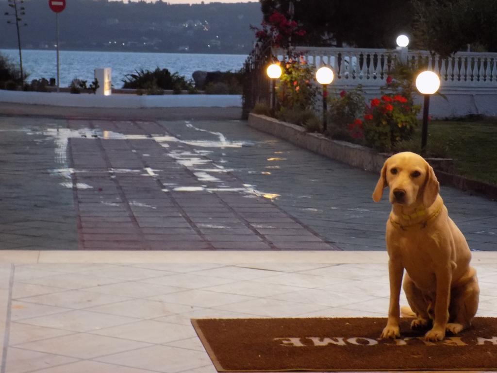 Galaxy Hotel Argostoli  Exterior photo